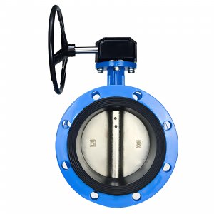 法蘭式蝸輪蝸桿蝶閥DN40，1.6Mpa（橡膠密封