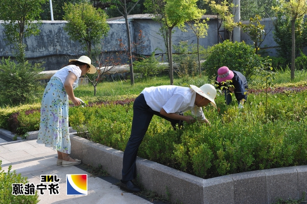鹿洼煤矿组织机关科室人员进行义务劳动