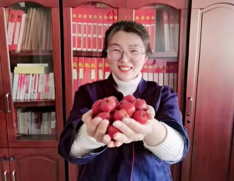 阳城煤电“红果飘香”丰收忙