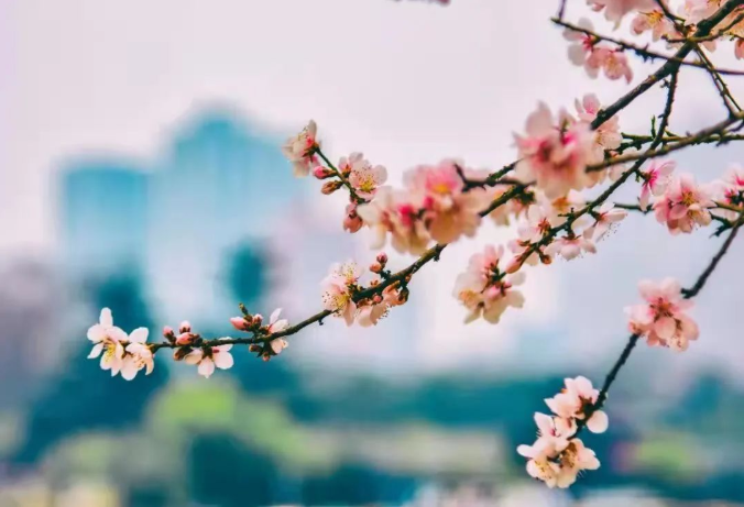 1647304242265664.png 微信截图_20220315075841.png