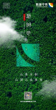 今日植树节丨绿水青山就是金山银山