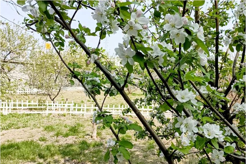 1680924278957538.jpg 微信截图_20230408112231.jpg