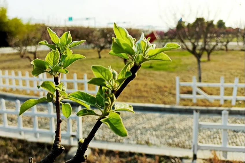 1680924326463995.jpg 微信截图_20230408112253.jpg