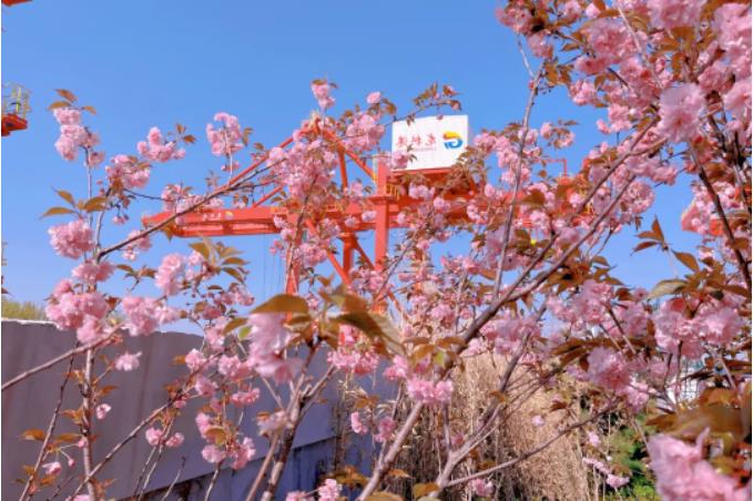 1681261949332757.jpg 微信截图_20230412091033.jpg