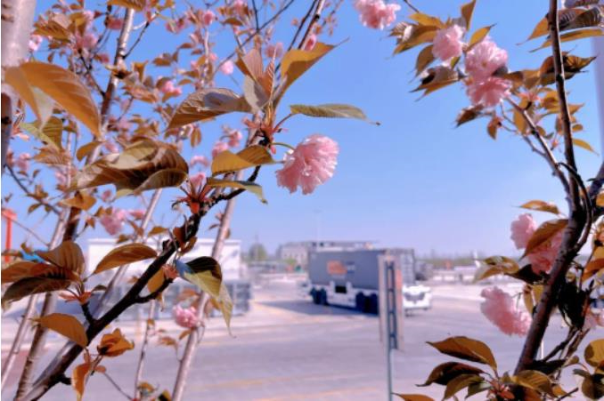 1681261957820100.jpg 微信截图_20230412091046.jpg