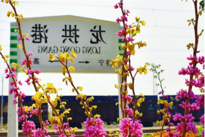 1681262009775188.jpg 微信截图_20230412091132.jpg