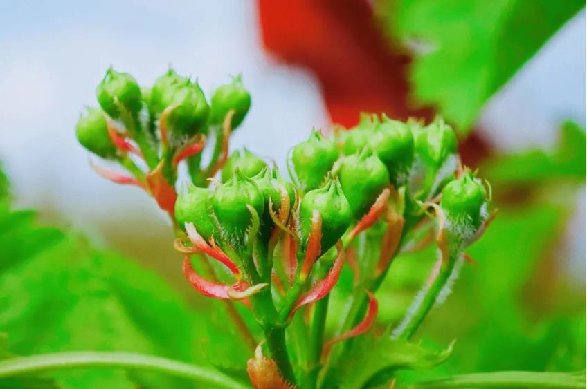 1681386563717337.jpg 微信截图_20230413194538.jpg