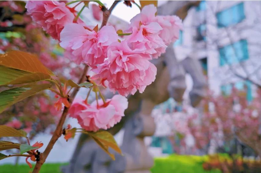 1681386584724035.jpg 微信截图_20230413194609.jpg