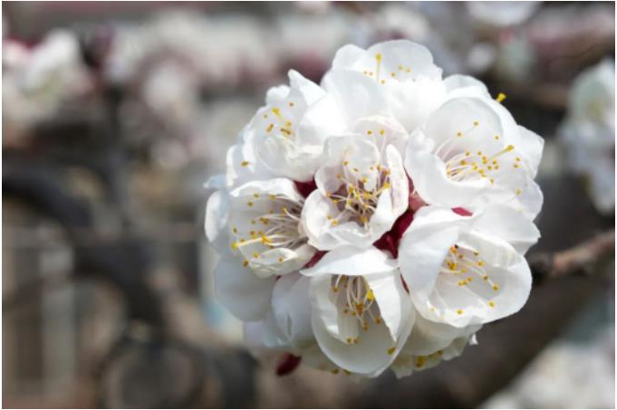 1681520842461079.jpg 微信截图_20230415090549.jpg