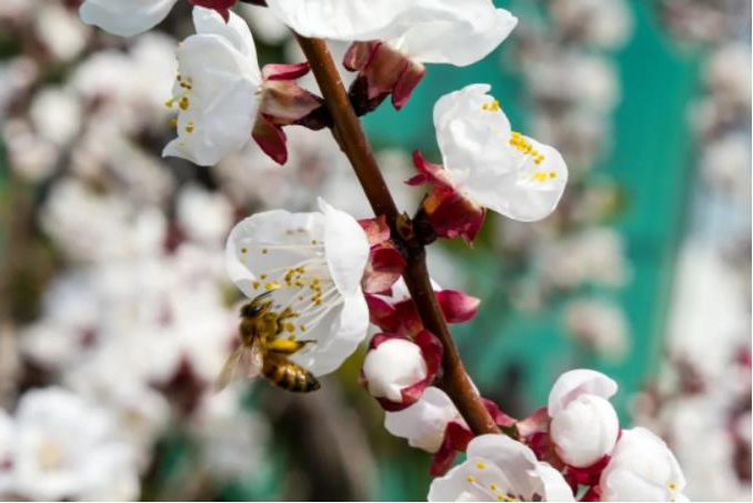 1681520848493800.jpg 微信截图_20230415090600.jpg