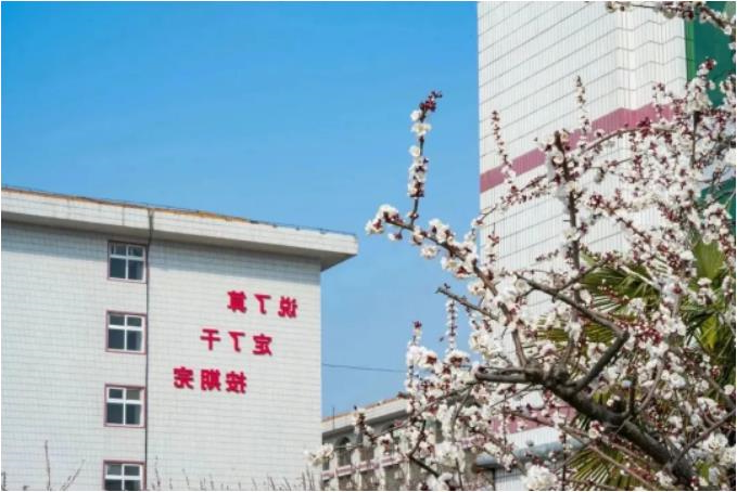 1681520870968045.jpg 微信截图_20230415090643.jpg