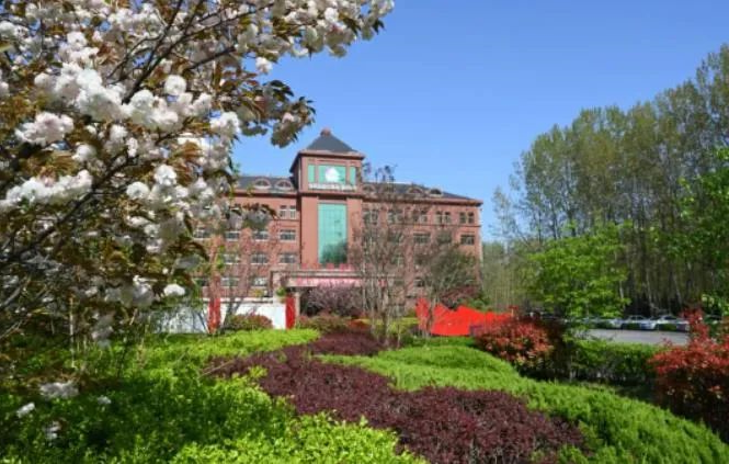 1688811095319498.jpg 640 (6).jpg