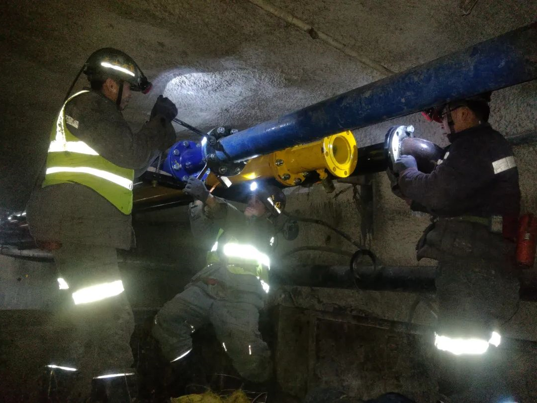 1706495018836279.jpg 5.jpg