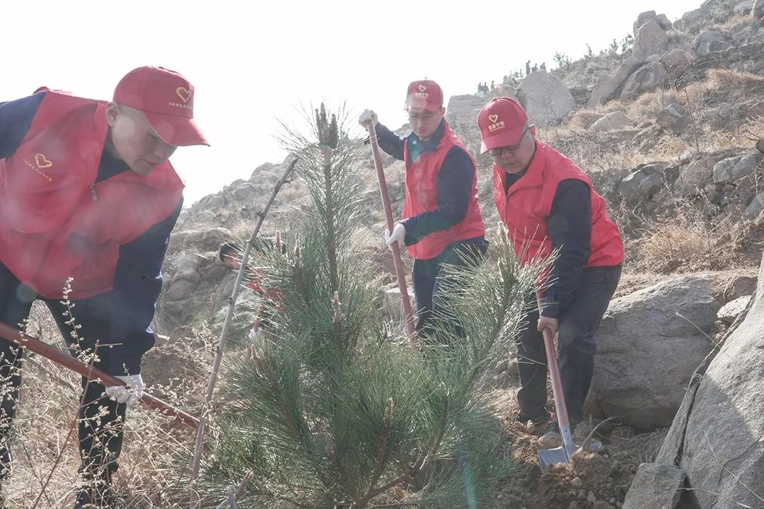 1710296369588115.jpg 64003.jpg