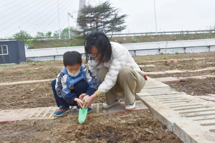 蔬菜园地暖人心，港建公司组织“春耕家企共建”活动