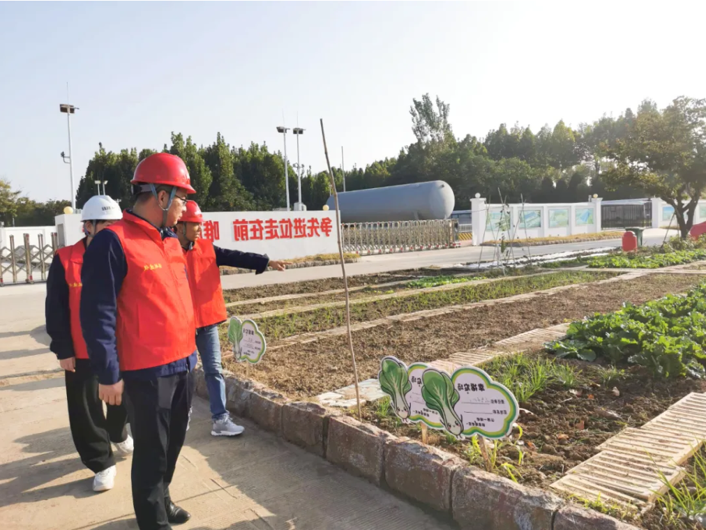 1732694287131234.png 1732694267597.png