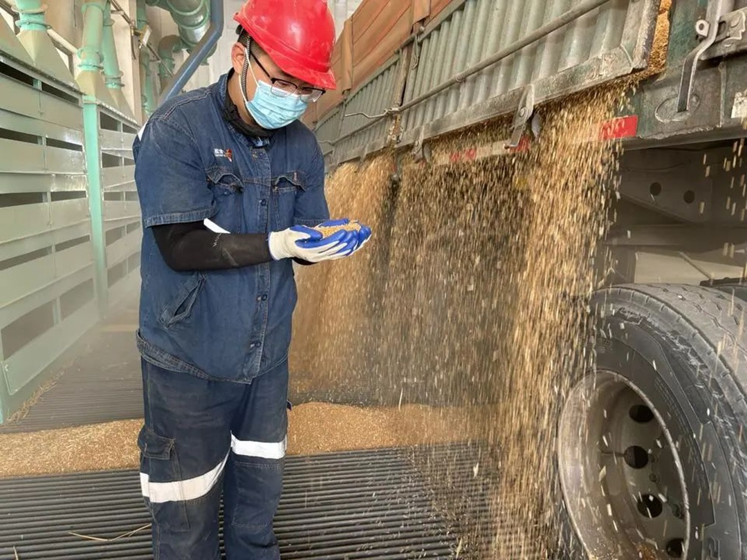 1751527652910638.jpg 04.jpg