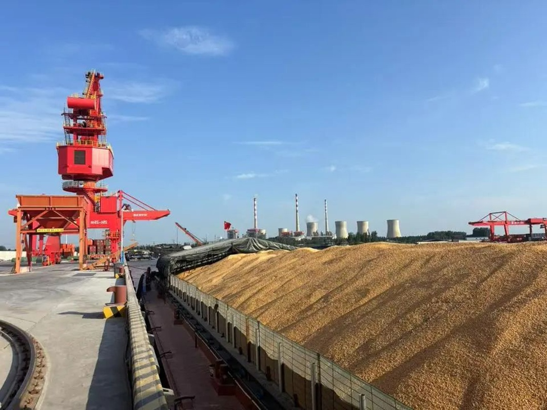 1751527668124125.jpg 05.jpg