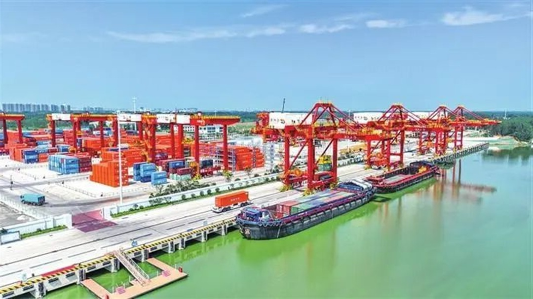 1763779370199452.jpg 01.jpg